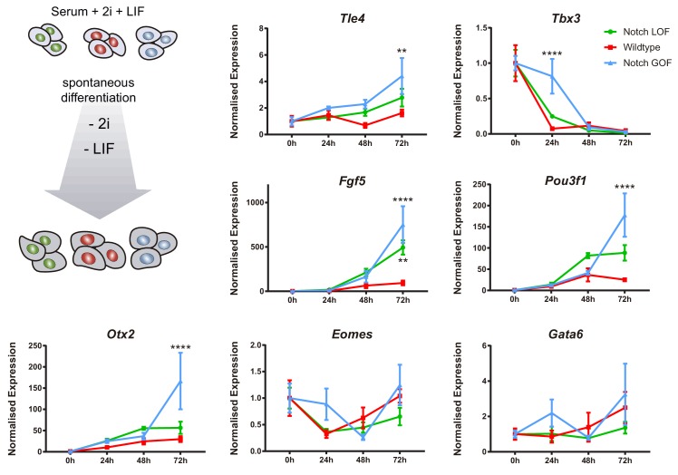 Figure 6—figure supplement 4.