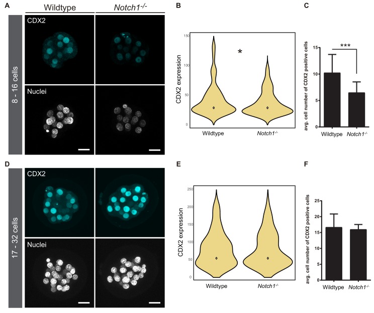 Figure 2—figure supplement 2.