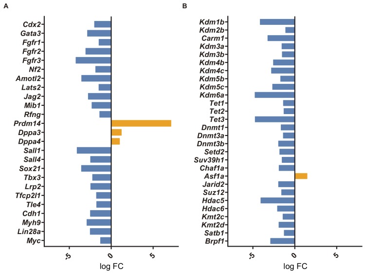 Figure 5—figure supplement 1.