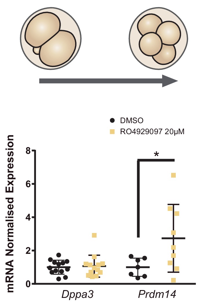 Figure 6—figure supplement 2.