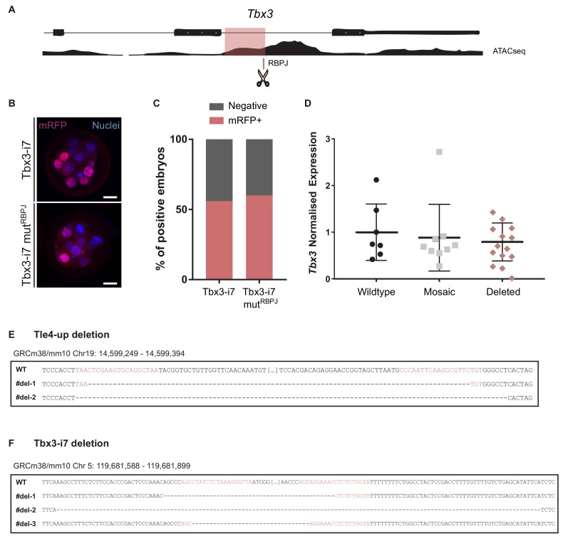 Figure 5—figure supplement 2.