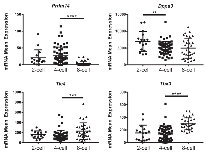 Figure 6—figure supplement 1.