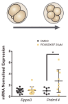 Figure 6—figure supplement 2.