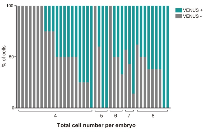 Figure 3—figure supplement 1.