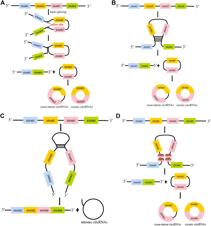 FIGURE 2