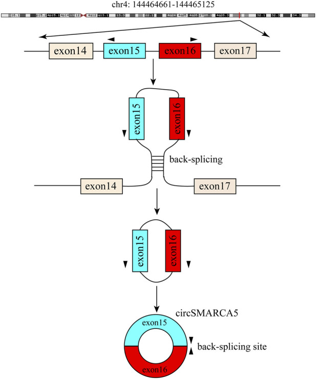 FIGURE 6