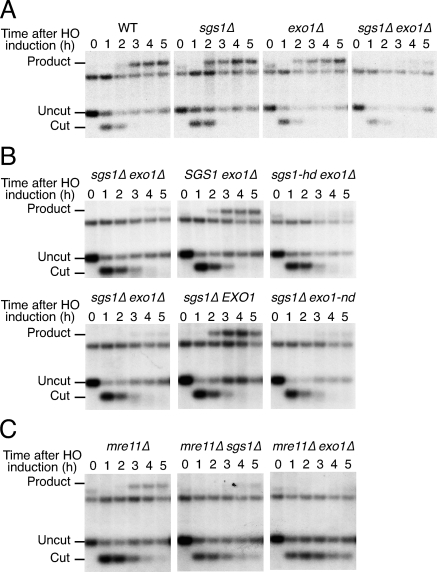 Figure 2.