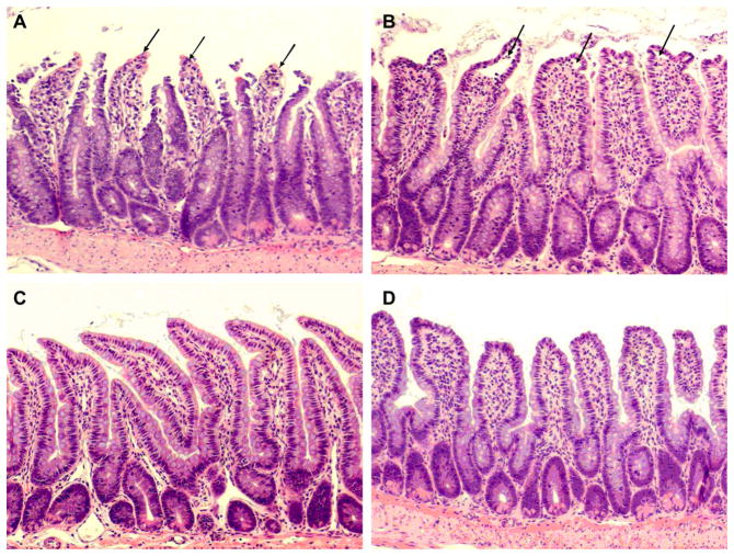 FIG. 1