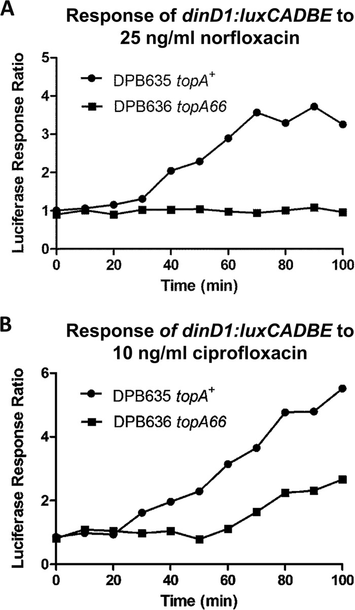 FIG 6