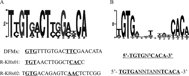 FIG 4