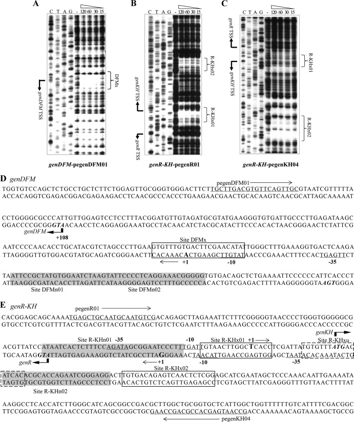 FIG 3