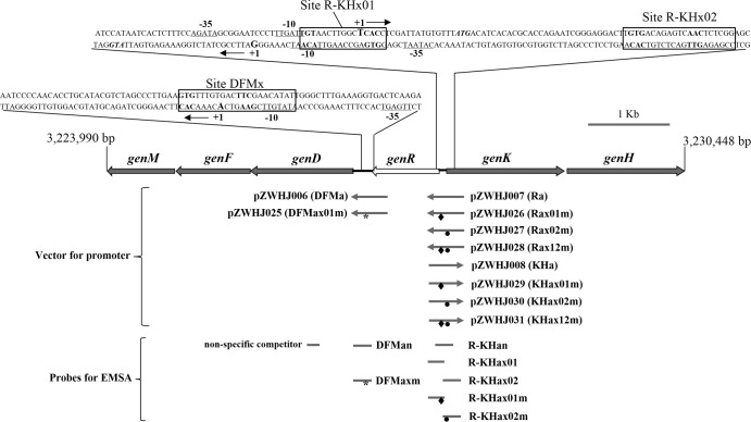 FIG 1