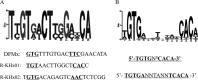 FIG 4