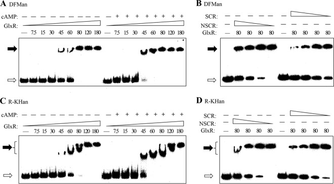 FIG 2