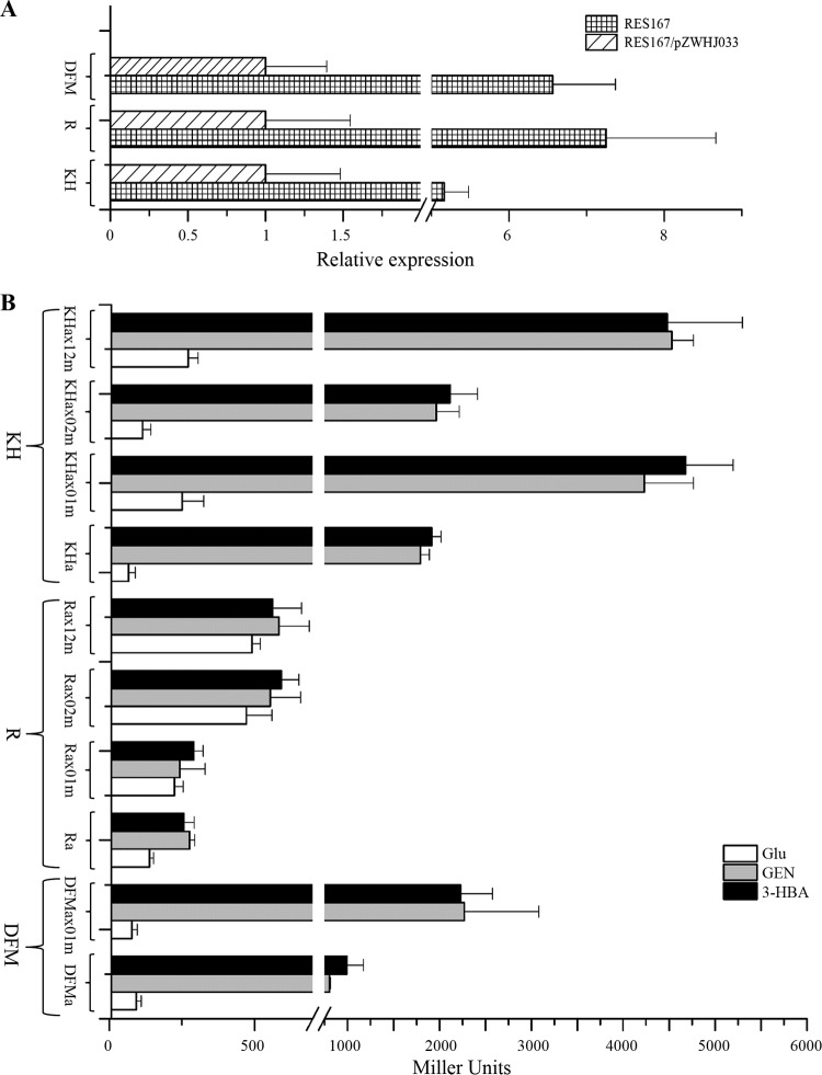 FIG 6