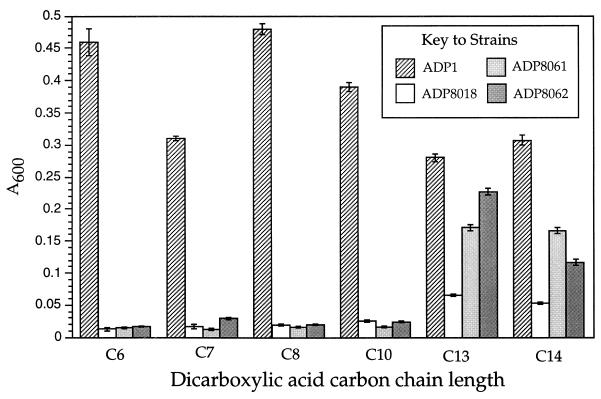 FIG. 5