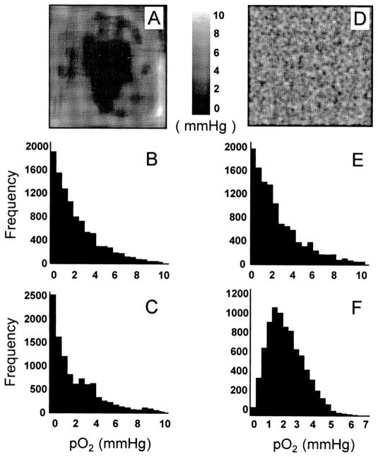 FIG 6