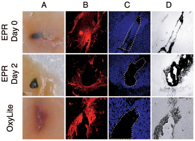 FIG 3