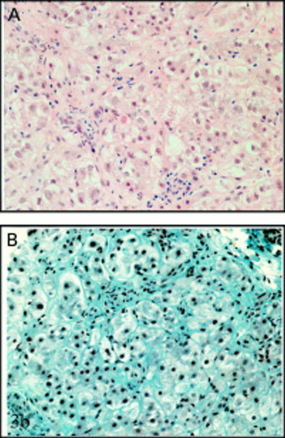 Figure 3  