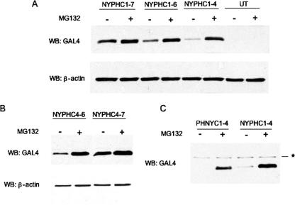 FIG. 7.