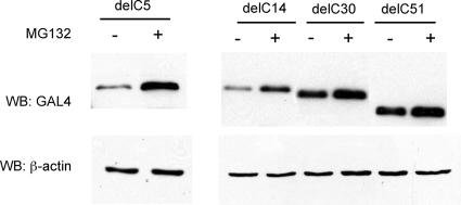 FIG. 5.