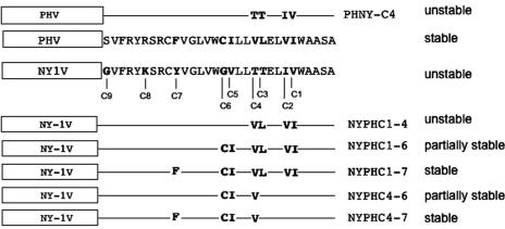 FIG. 6.