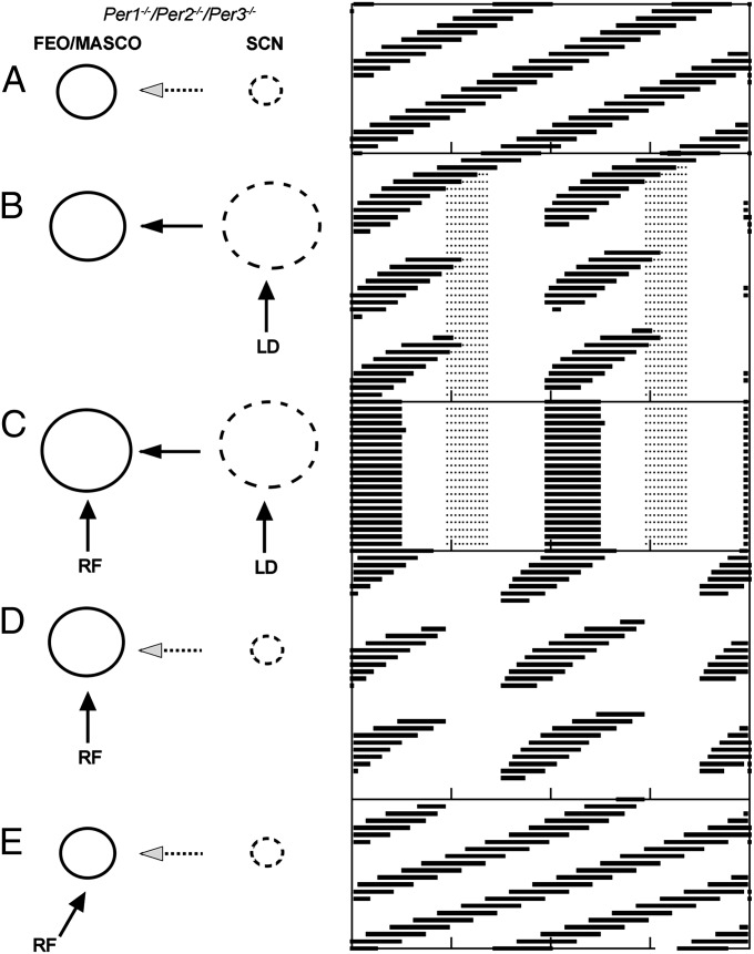 Fig. 5.