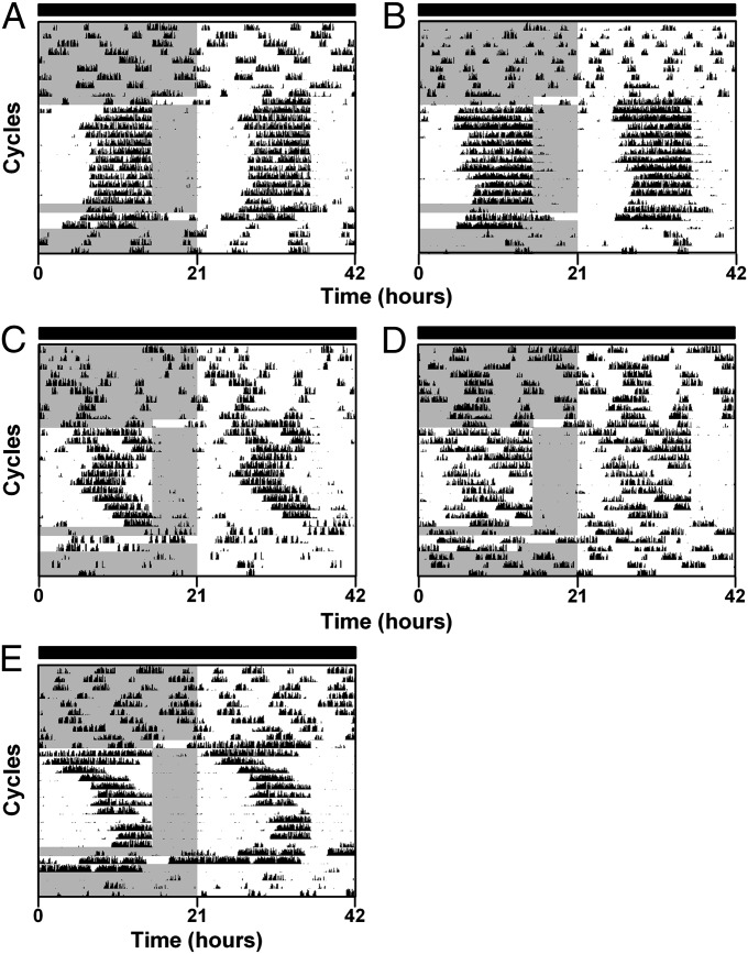 Fig. 4.