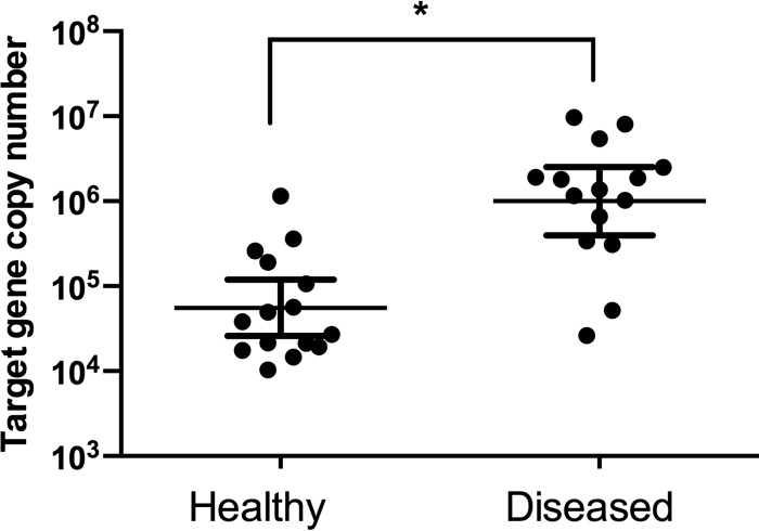 FIG 1