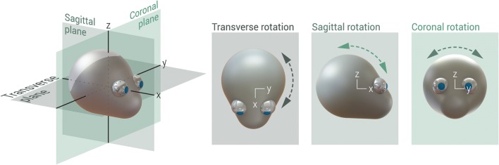 Fig. 3