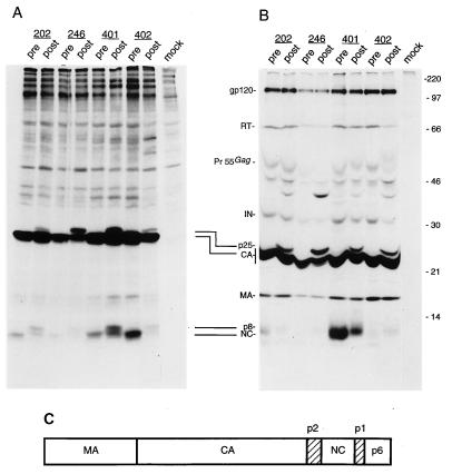 FIG. 4