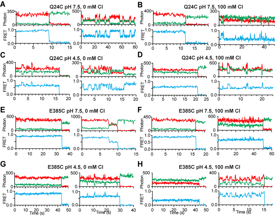 Extended Data Fig. 7