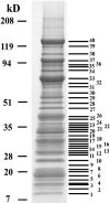 FIG. 8.