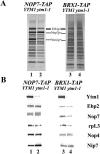 FIG. 11.