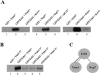 FIG. 10.