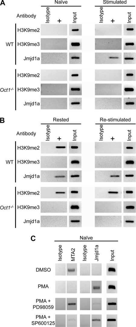 FIGURE 4.