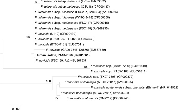 Fig 1