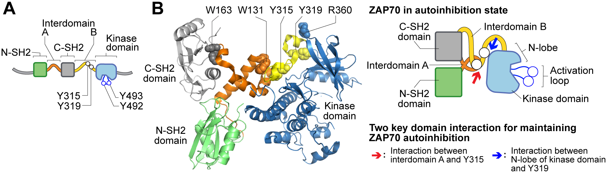 Figure 2.