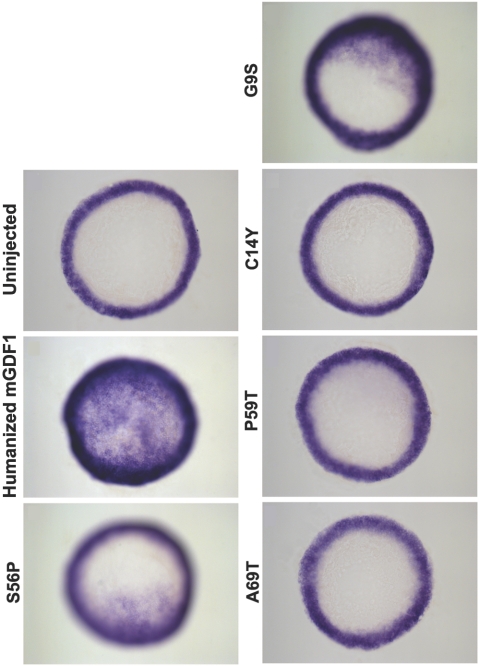 Figure  2. 