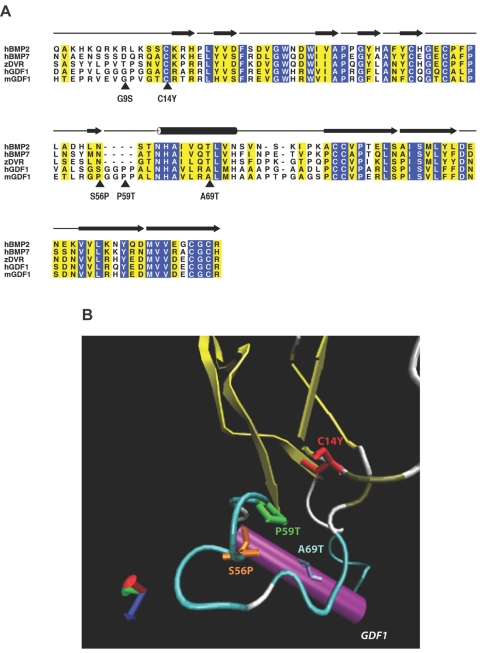 Figure  1. 