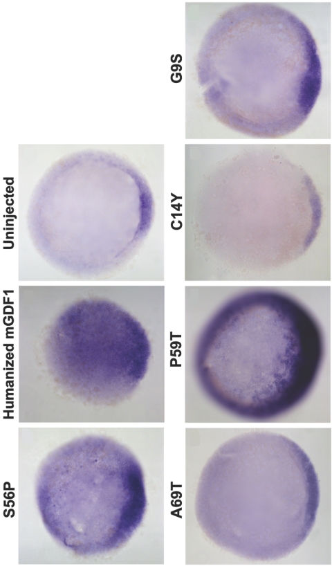 Figure  3. 