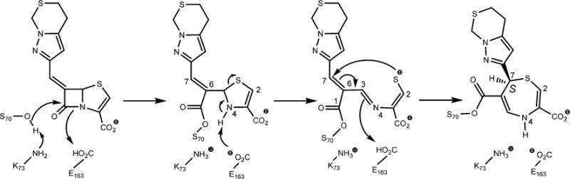 Scheme 2