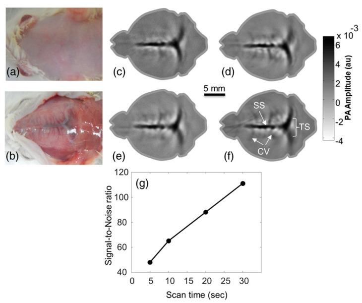 Figure 17