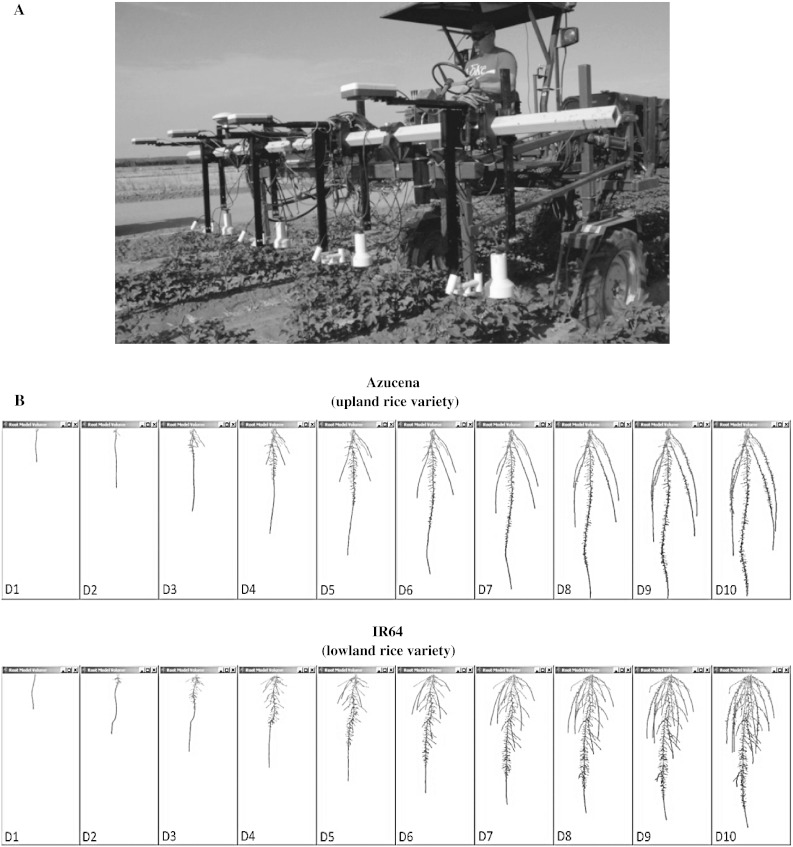 Fig. 1