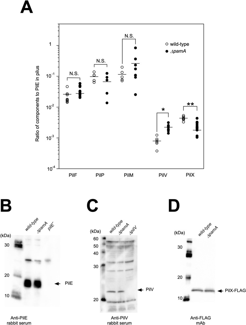 Fig 7