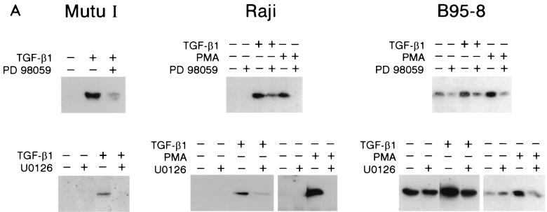 FIG. 9