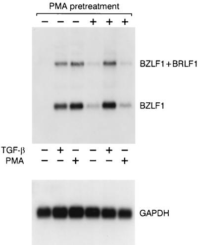 FIG. 8