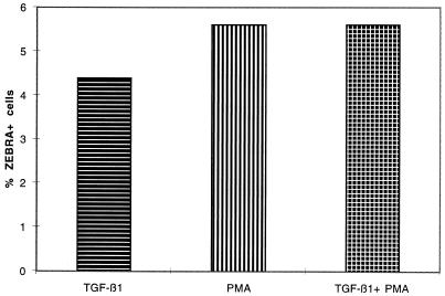 FIG. 7