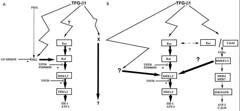 FIG. 12