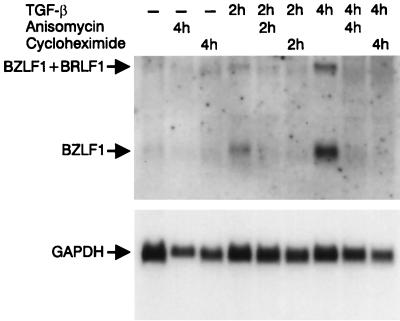 FIG. 11